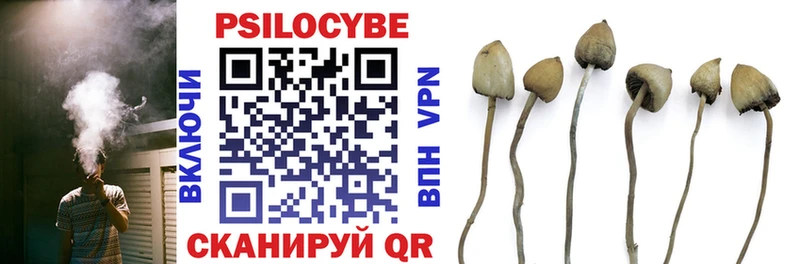 наркотики  Керчь  Галлюциногенные грибы Psilocybine cubensis 